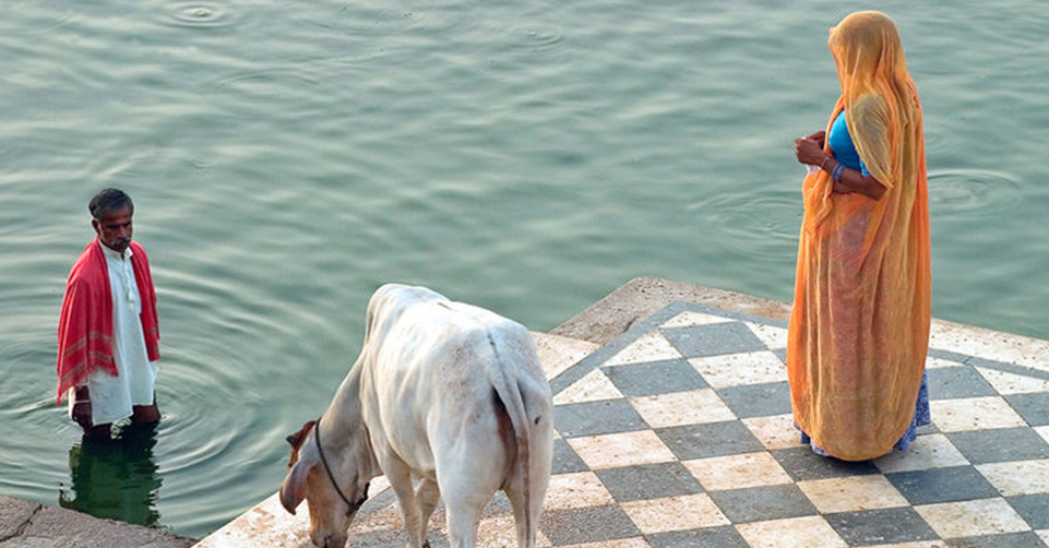 800px-Morning_view_of_the_ghats_in_Pushkar